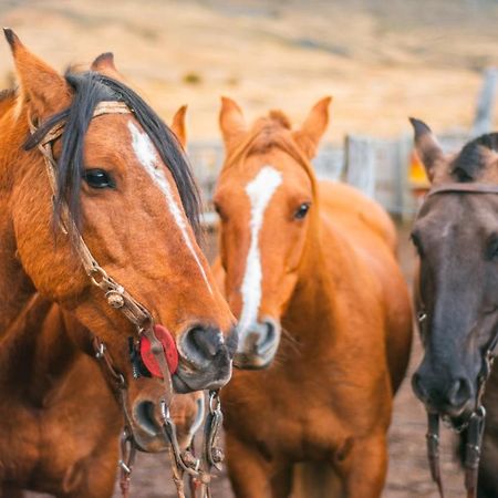 Estancia Nibepo Aike Colonia Francisco Perito Moreno Zewnętrze zdjęcie