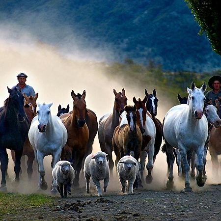 Estancia Nibepo Aike Colonia Francisco Perito Moreno Zewnętrze zdjęcie