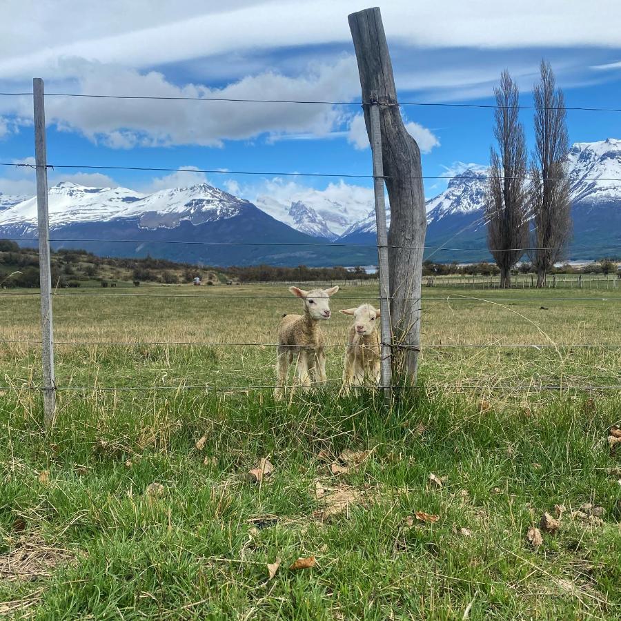 Estancia Nibepo Aike Colonia Francisco Perito Moreno Zewnętrze zdjęcie