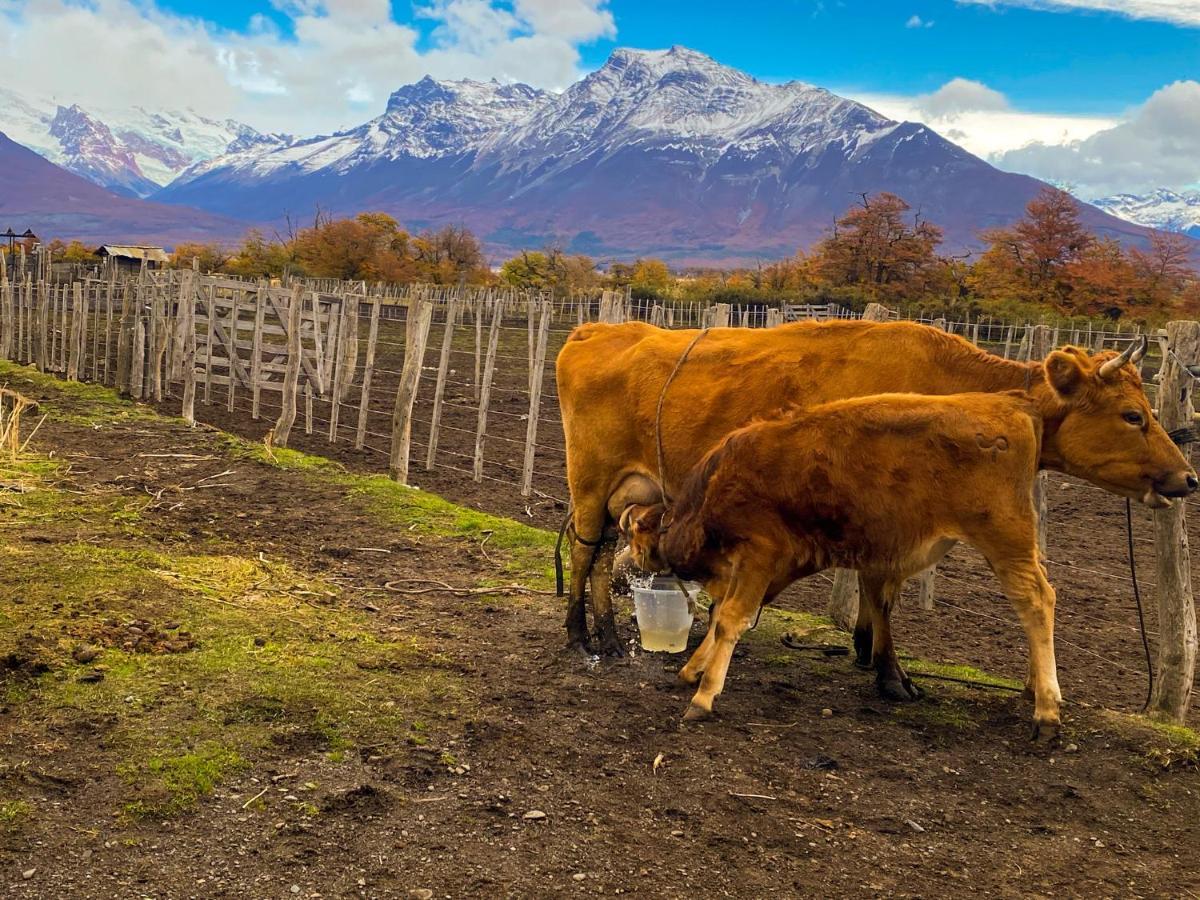 Estancia Nibepo Aike Colonia Francisco Perito Moreno Zewnętrze zdjęcie