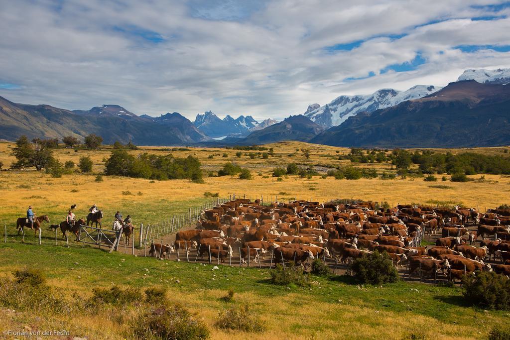 Estancia Nibepo Aike Colonia Francisco Perito Moreno Zewnętrze zdjęcie