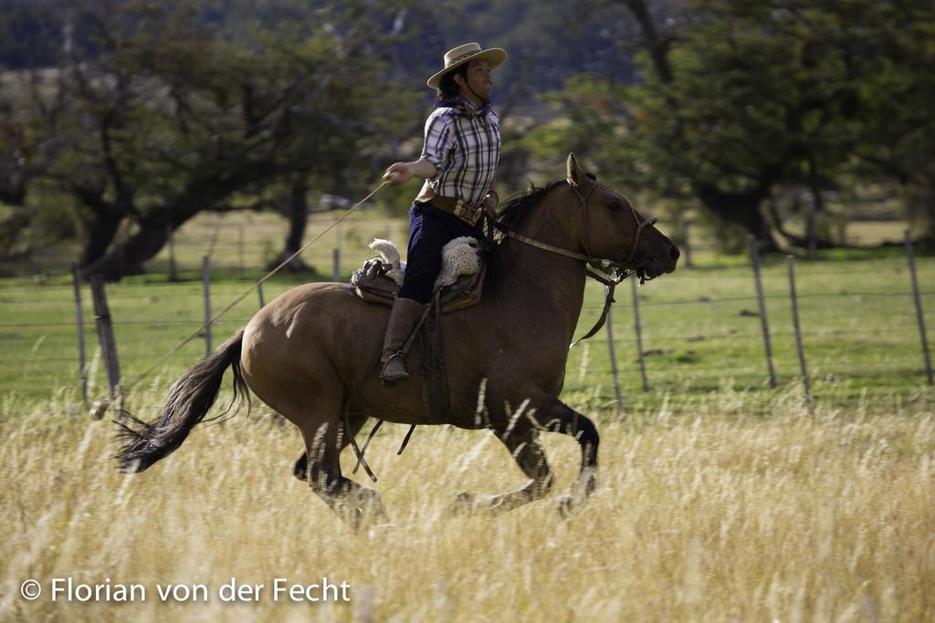 Estancia Nibepo Aike Colonia Francisco Perito Moreno Zewnętrze zdjęcie